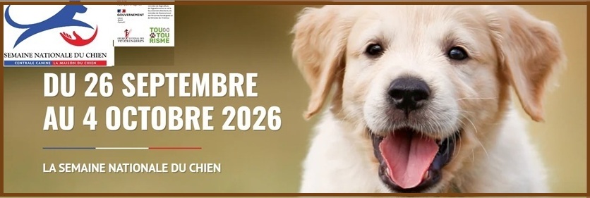 F&ecirc;te du chien 2026