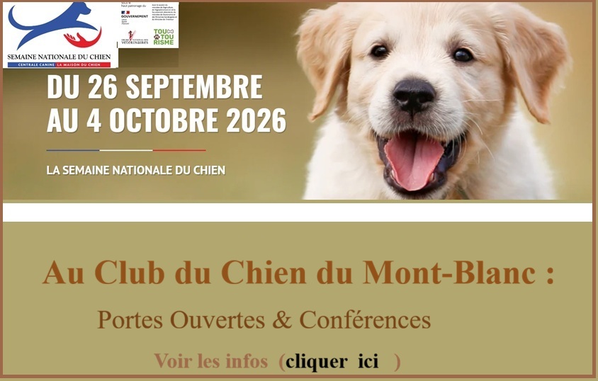 F&ecirc;te du chien 2026